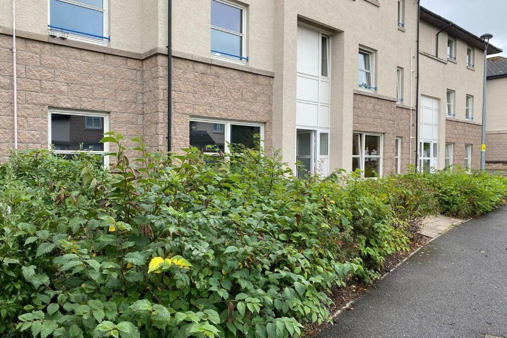 Peter Pan Apartment In The Heart Of Inverness Dalneigh ภายนอก รูปภาพ